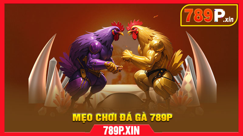 Mẹo chơi đá gà 789P hiệu quả, ít rủi ro