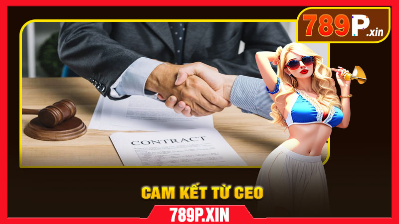 Lời cam kết từ đội ngũ phát triển 789P