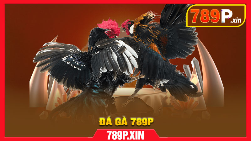 Đá Gà 789P