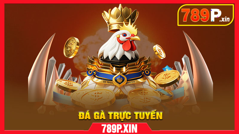 Trải nghiệm xem đá gà trực tuyến chân thực tại 789P